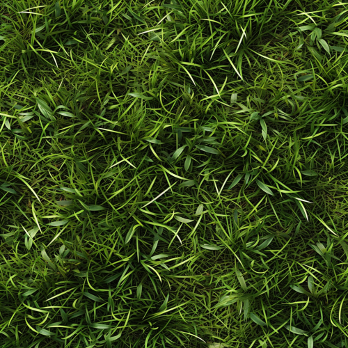 Grass ground texture