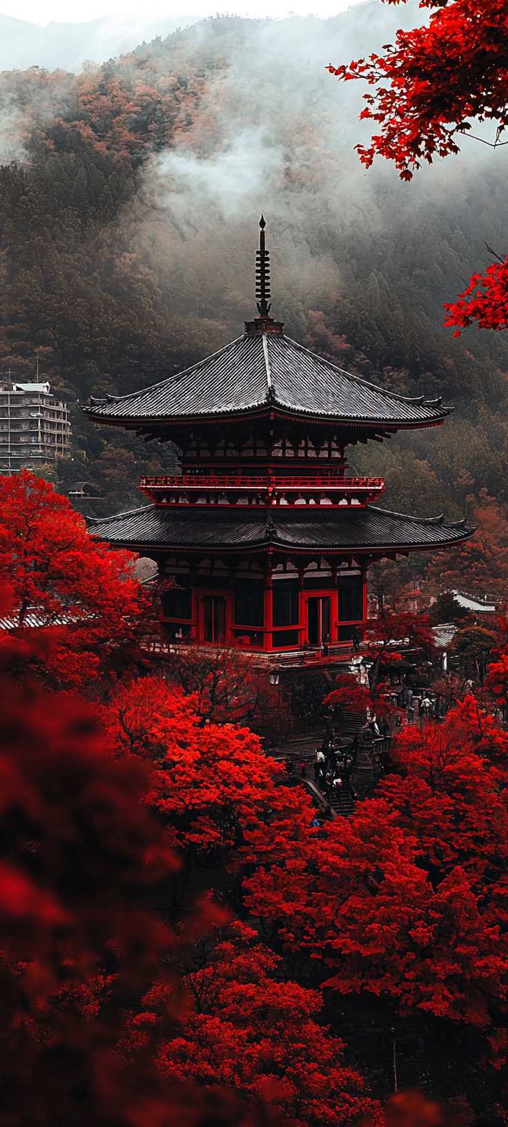 Autumn Leaves Japan Temple Photography