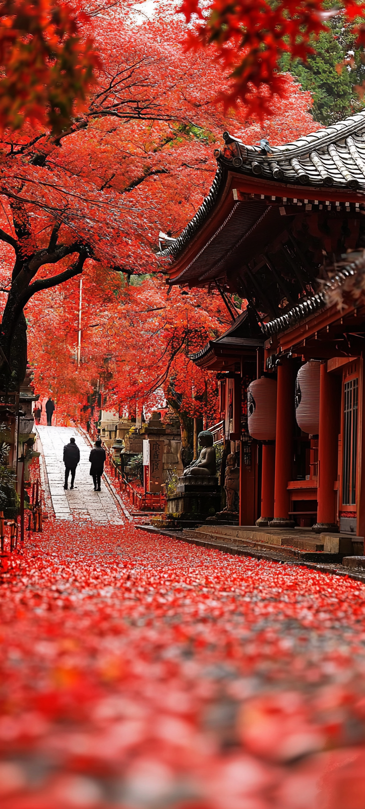 Autumn Leaves Japan Temples Buddha Photos