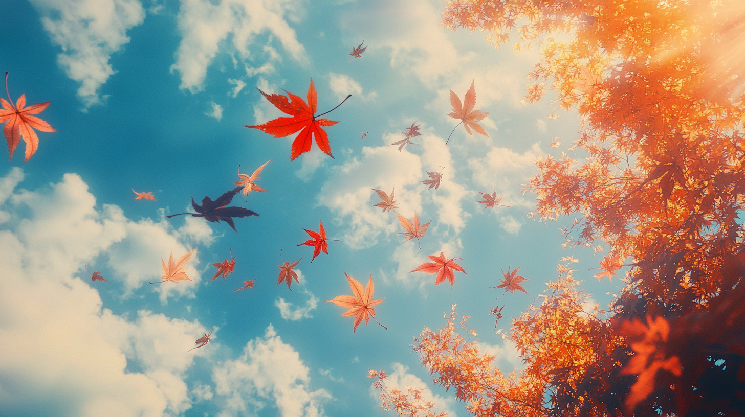 Colorful autumn leaves dancing in sunny blue sky.