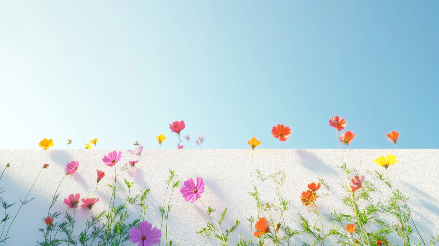 Colorful blossoms on white wall under azure sky