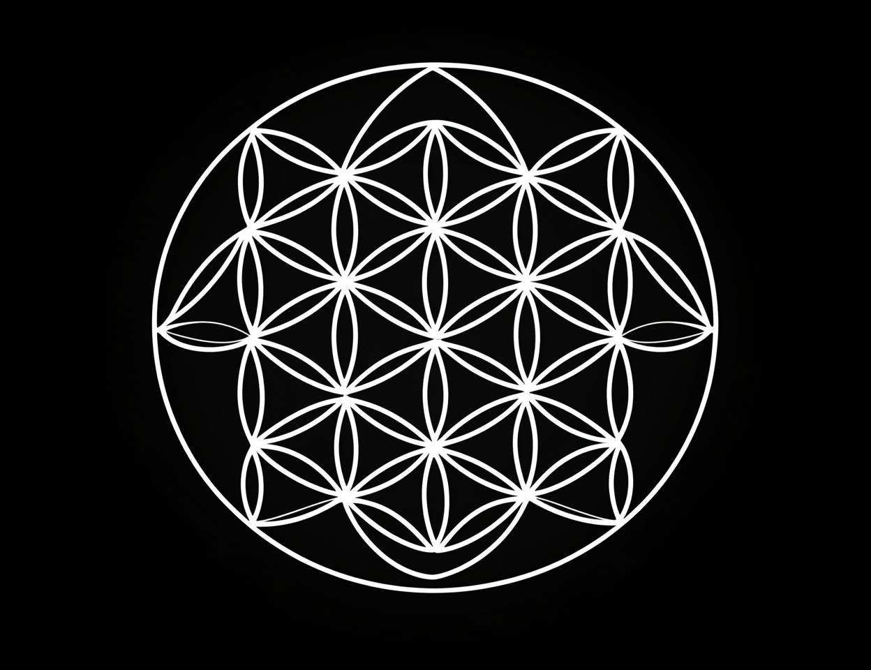 Sacred geometry flower drawing with symmetrical clean design.