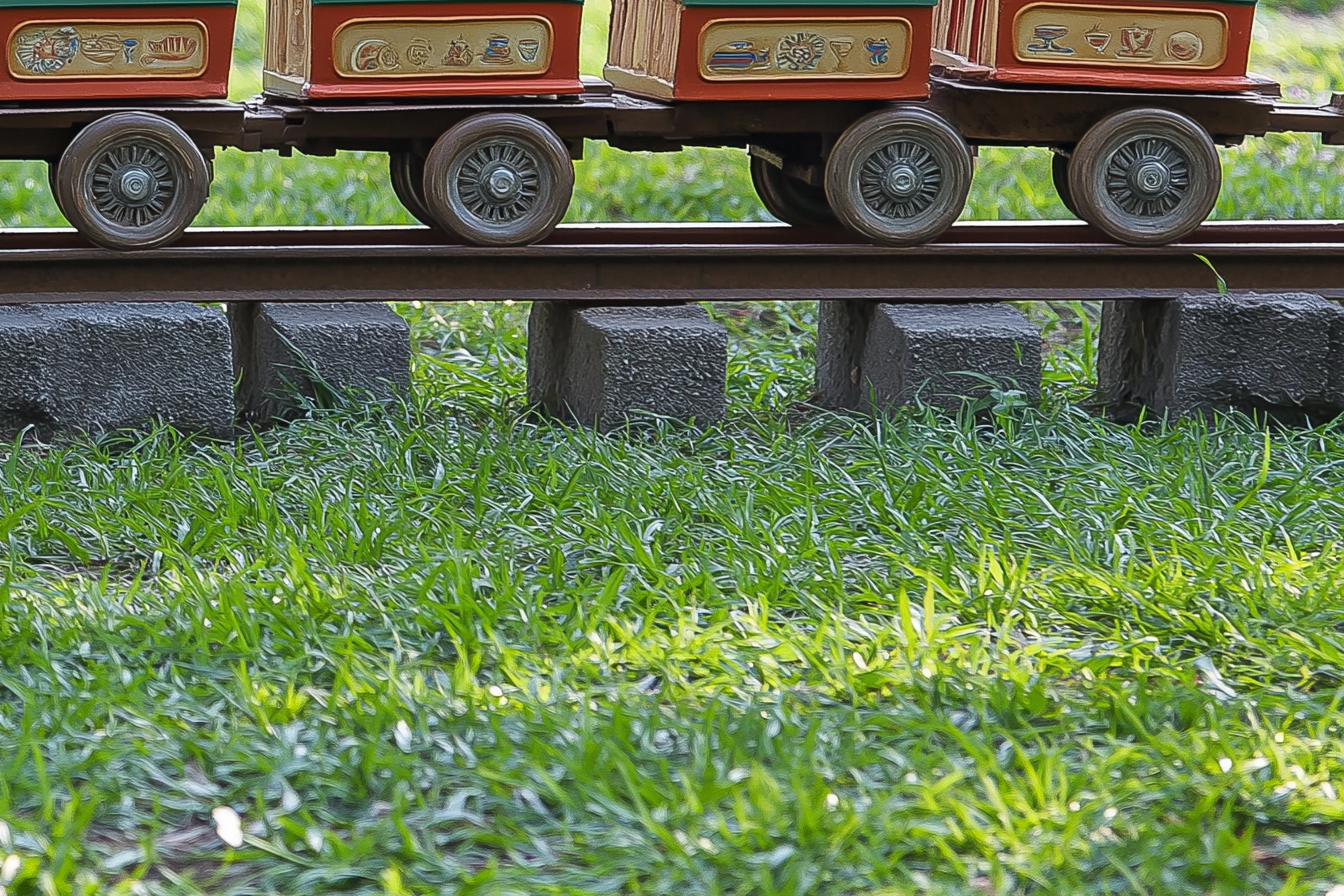 Squirrel driving train in amusement park at golden hour