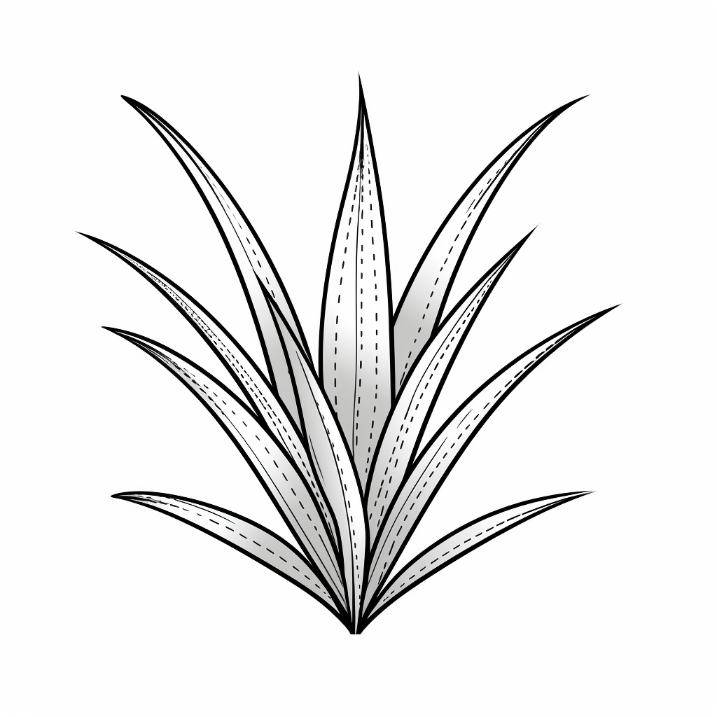 Aloe Vera Shape Doodle Style