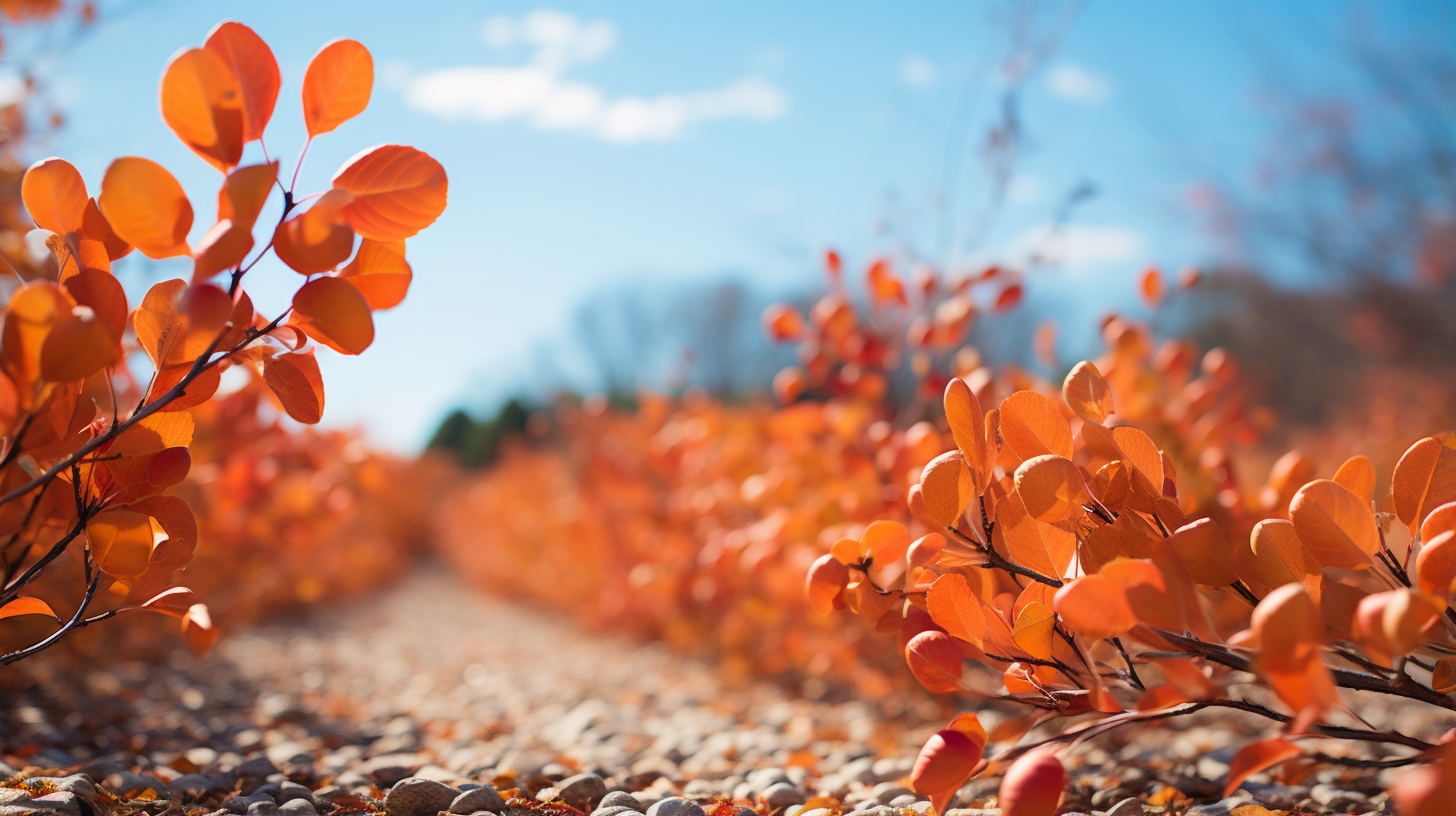 Colorful autumn leaves in David Hockney style