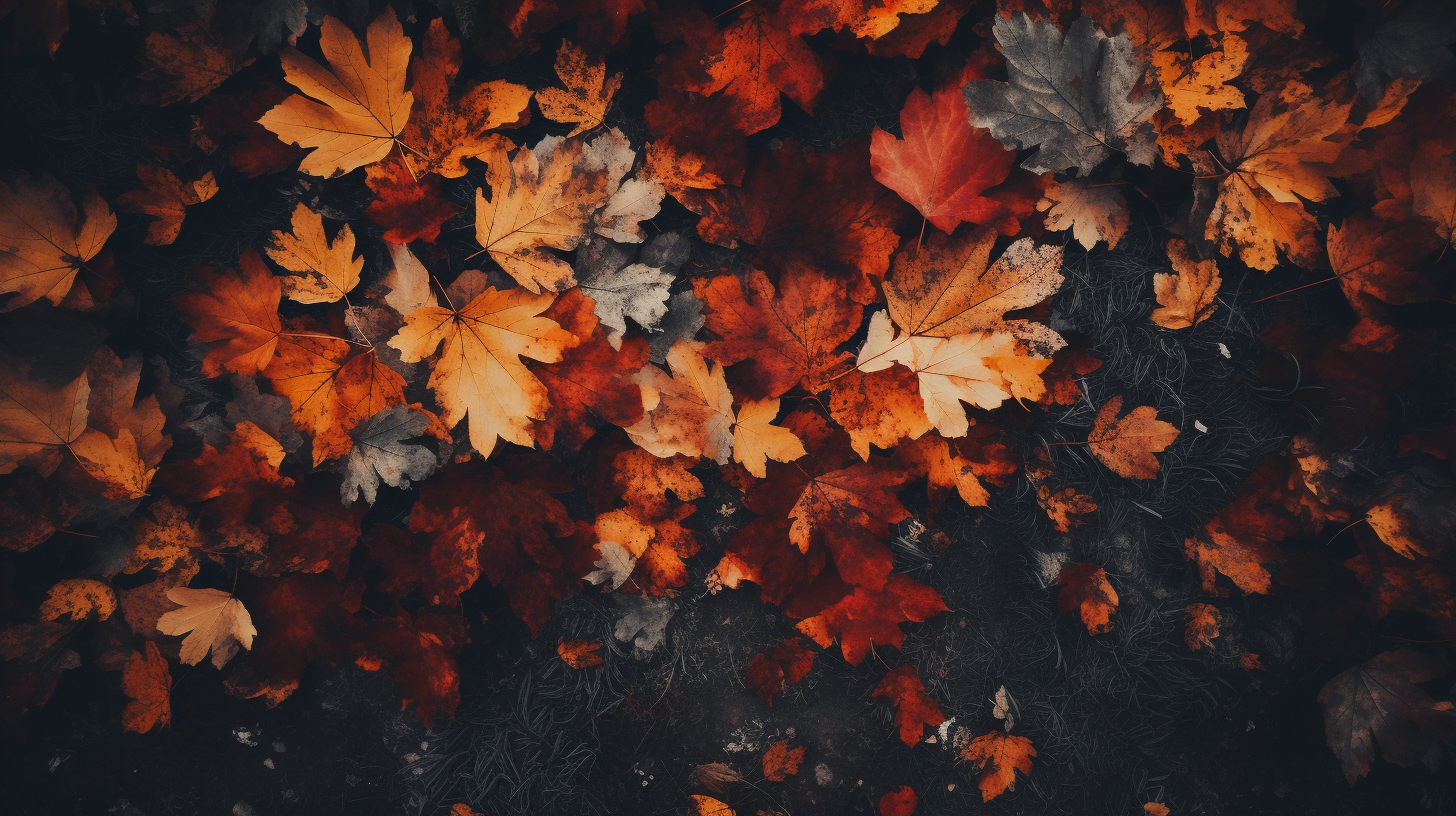 Autumn leaves in bird's eye view