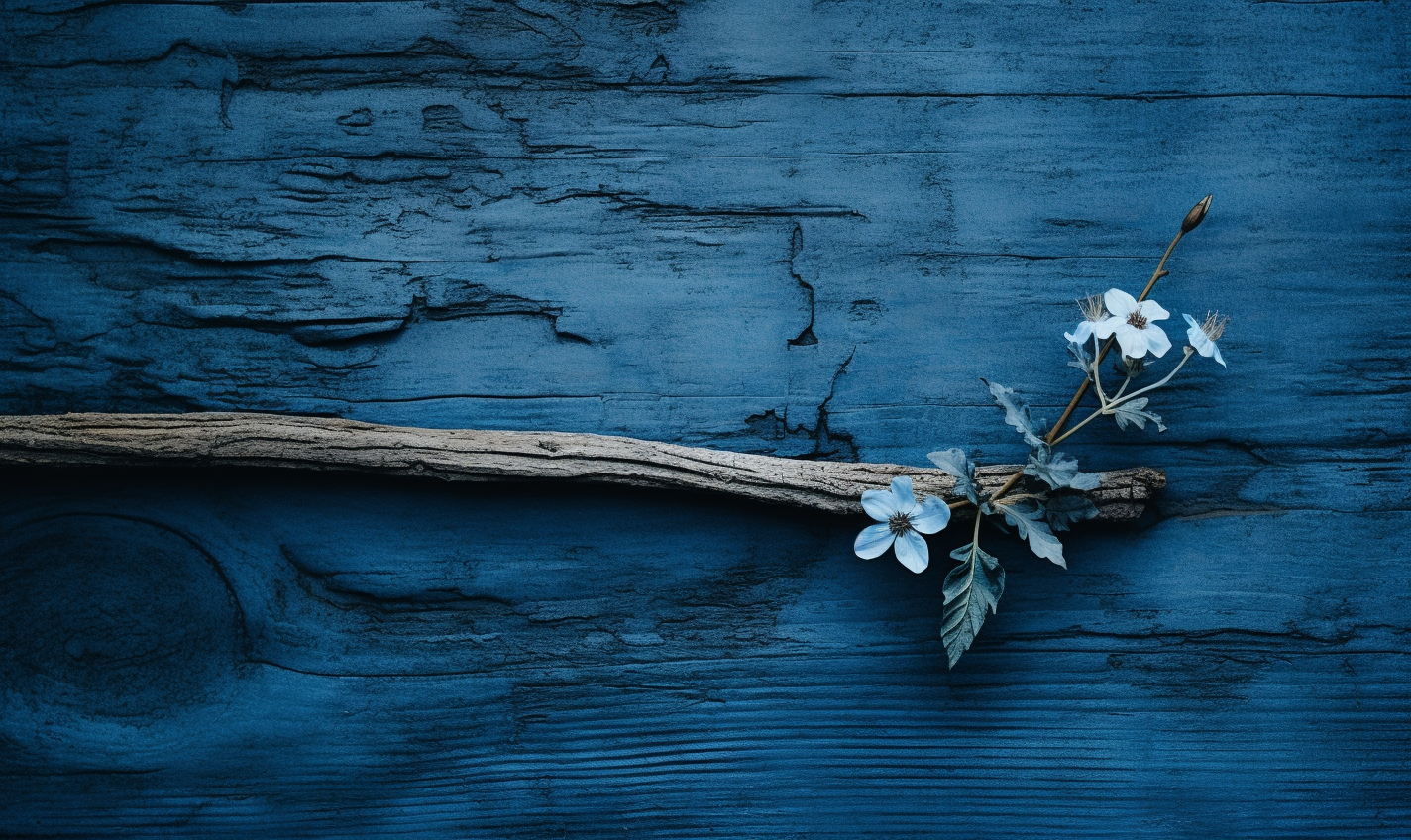 A captivating blue-tinted wood with a beautiful plant growing