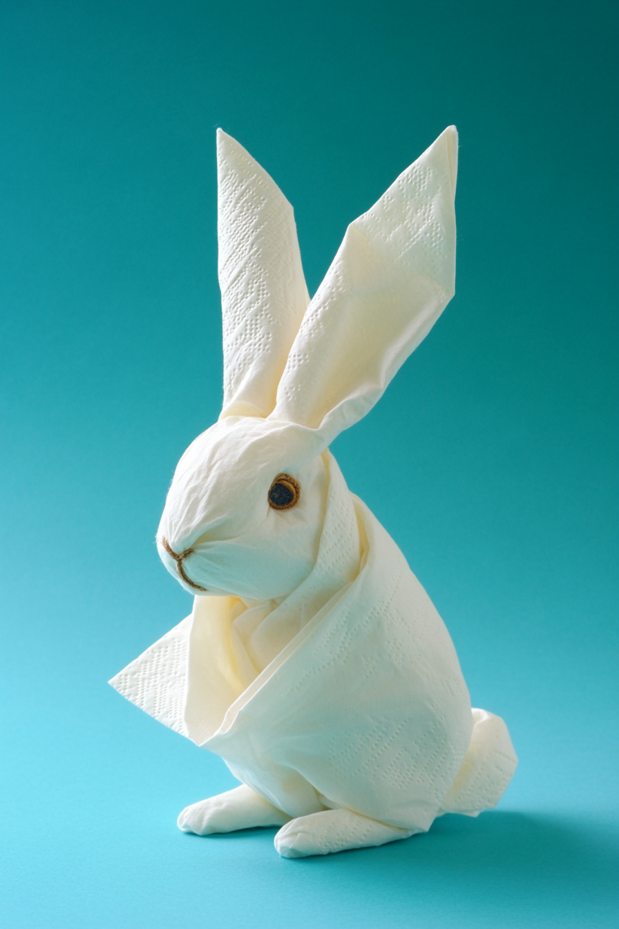 Healthy Cookbook Bunny Napkin Background