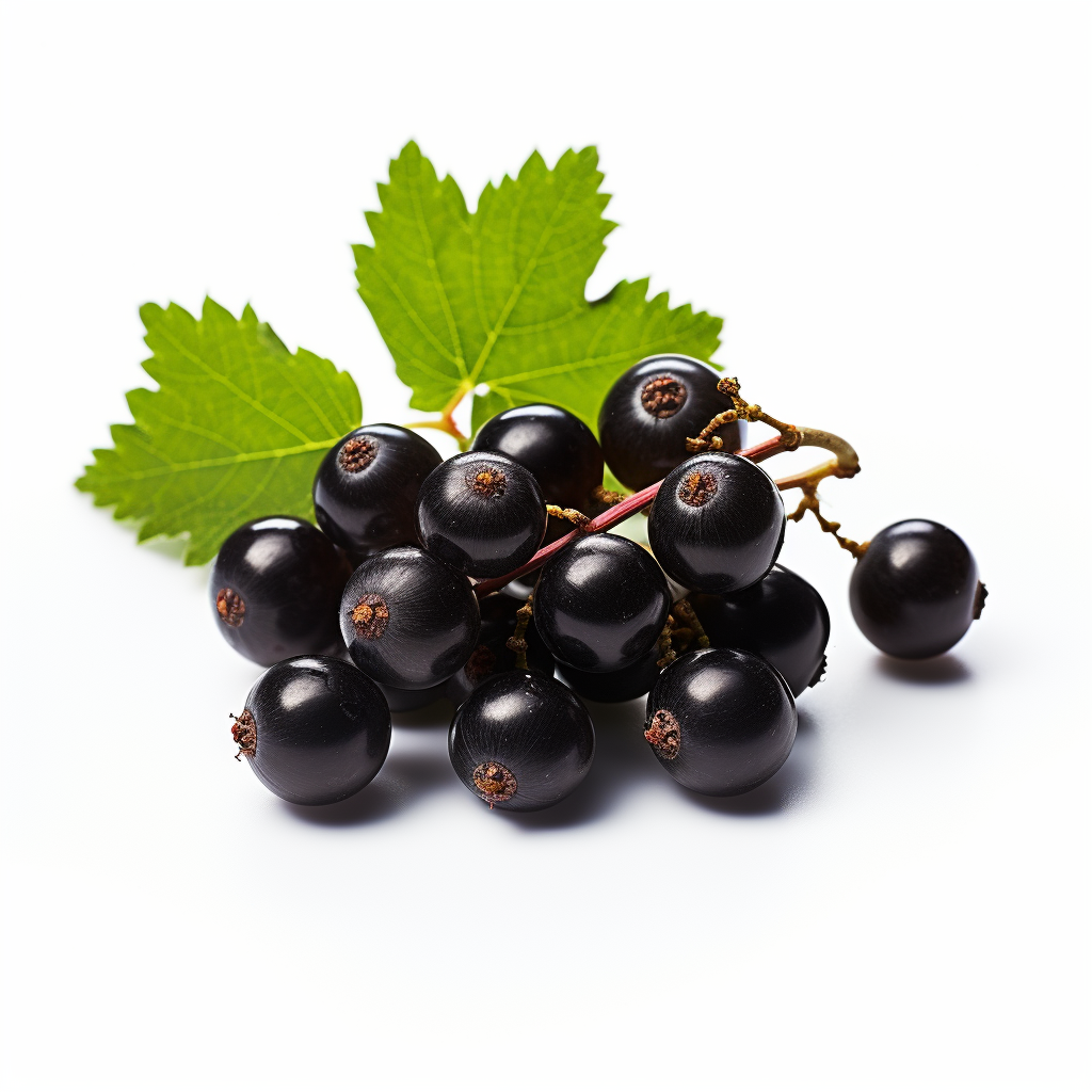 Fresh currant on a white background