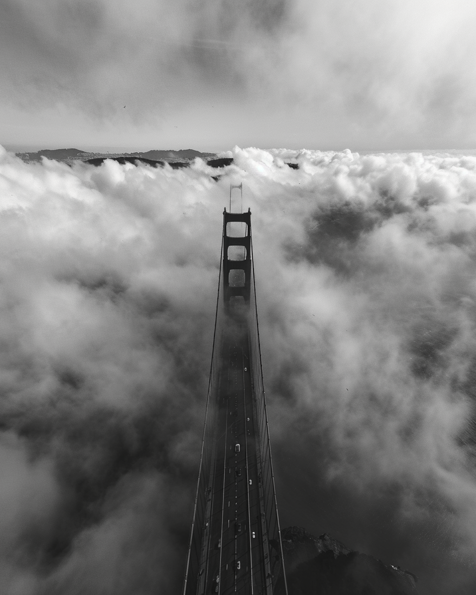 Golden Gate Bridge Aerial View Black White