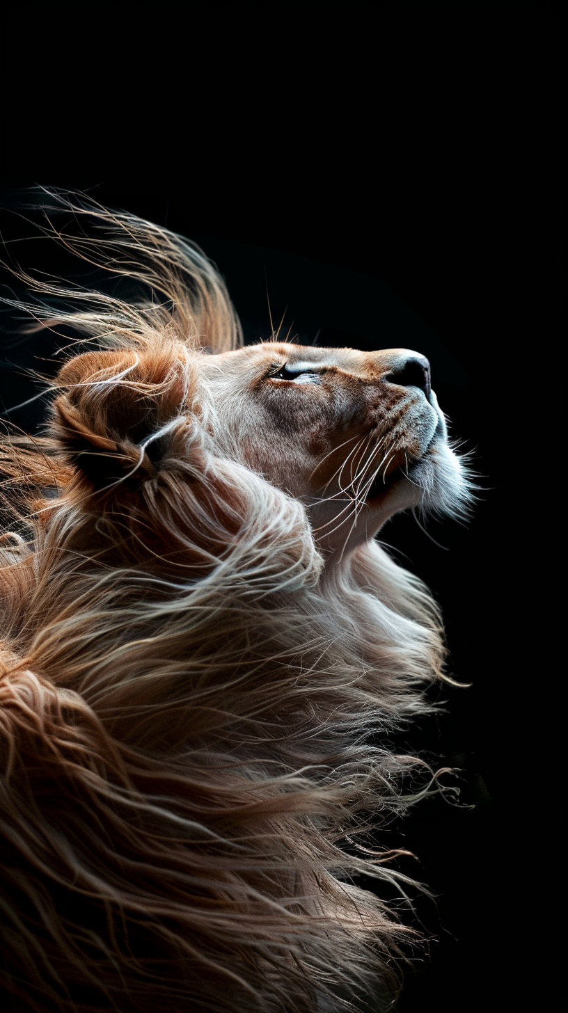 Lion with flowing mane